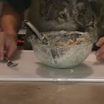 Classic chicken salad in a bowl made with shredded chicken, celery, onion, and creamy mayonnaise.